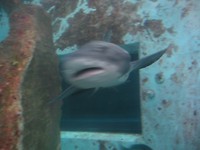 Zeeaquarium