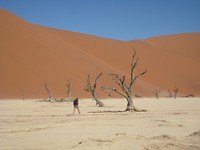 Deadvlei