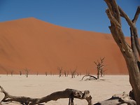 Deadvlei