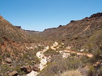 Shothole