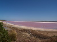 Pink Lake