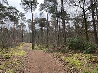 IMG_7753