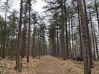 IMG_7758