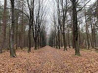 IMG_7764