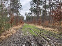 IMG_9372