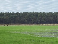 IMG_9376