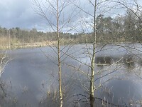 IMG_8975