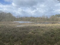 IMG_8976