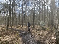IMG_8977