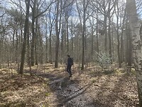 IMG_8978