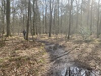 IMG_8979