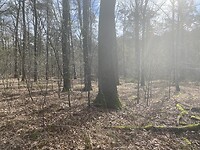 IMG_8980