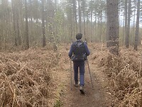 IMG_8984