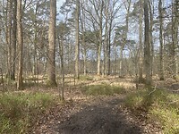 IMG_8983
