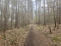 IMG_8987