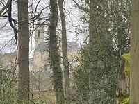 IMG_8989