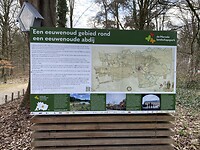 IMG_8998