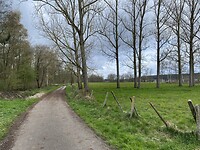 IMG_9003