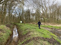 IMG_9004