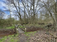 IMG_9020