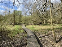 IMG_9024