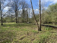 IMG_9025