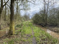 IMG_9026