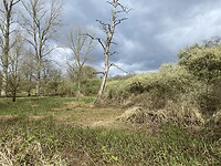 IMG_9027