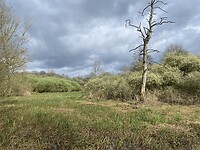 IMG_9028