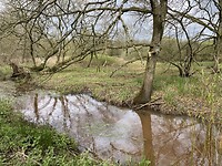 IMG_9029