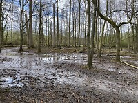 IMG_9033