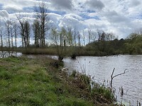 IMG_9035