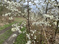 IMG_9037