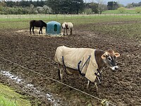 IMG_9123