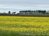 IMG_9124