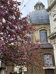 IMG_9134
