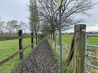 IMG_9142
