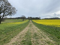 IMG_9144