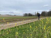 IMG_9145