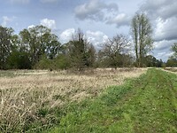 IMG_9159