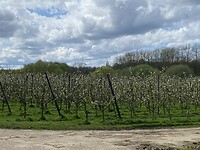 IMG_9162