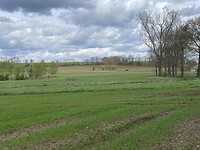 IMG_9164