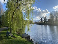 IMG_9187