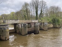 IMG_9194