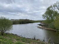 IMG_9195
