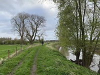 IMG_9199