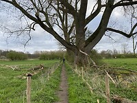 IMG_9200