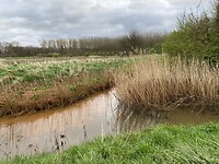 IMG_9202