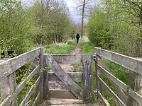 IMG_9205