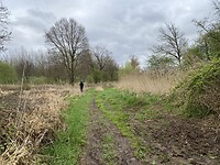 IMG_9206